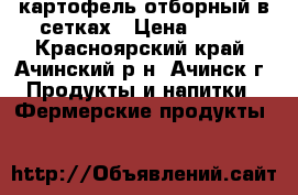 картофель отборный в сетках › Цена ­ 100 - Красноярский край, Ачинский р-н, Ачинск г. Продукты и напитки » Фермерские продукты   